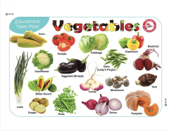Jolly Kids Picture Learning Educational Table Mat - Fruits and Nuts